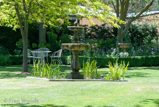 Beautiful garden at Yarralumla.