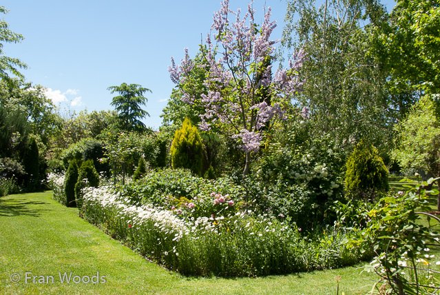 Beautiful garden at Yarralumla.