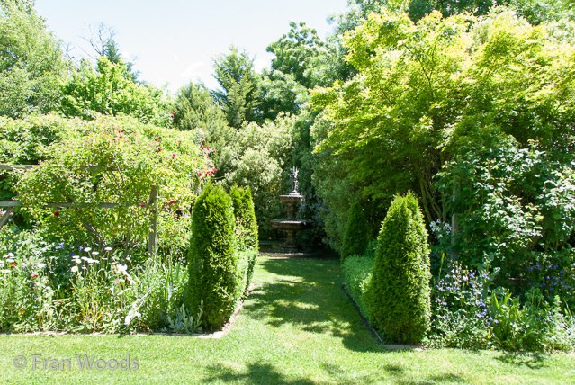 Beautiful garden at Yarralumla.