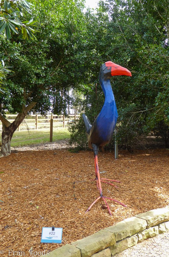<b>Swamphen - Ken Taber</b>