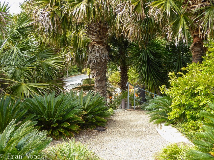 <b>Willinga Park Garden Beauty</b>
