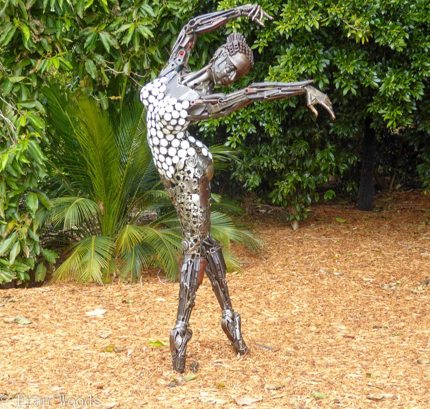 <b>Water Dancer - A. & D. Whitehead</b>