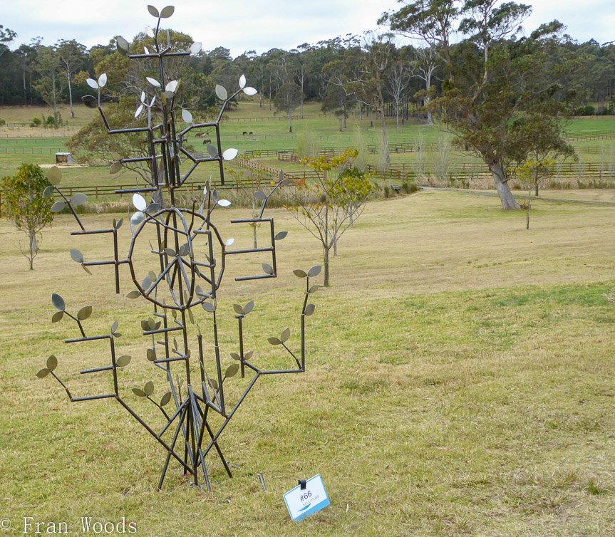 <b>Tree of Life - Daryl Harbrow</b>
