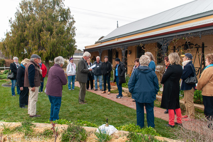 <b>Anthea Thomson garden, Bungendore</b>