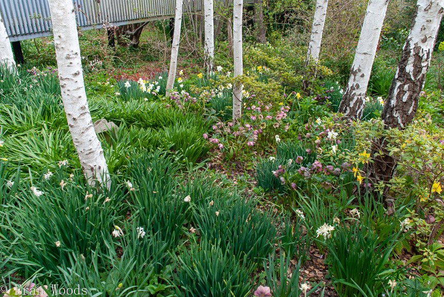 <b>Piccolo garden, Bungendore</b>