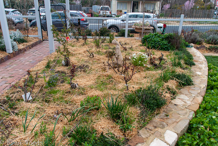 <b>Anthea Thomson garden, Bungendore</b>