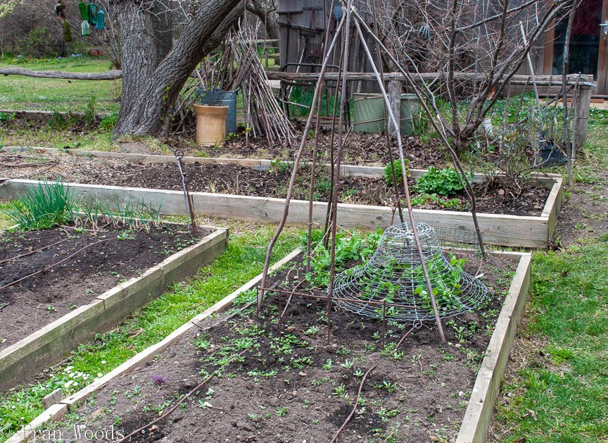 <b>Piccolo garden, Bungendore</b>