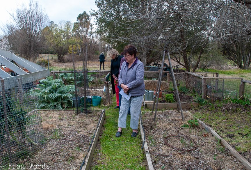 <b>Piccolo garden, Bungendore</b>