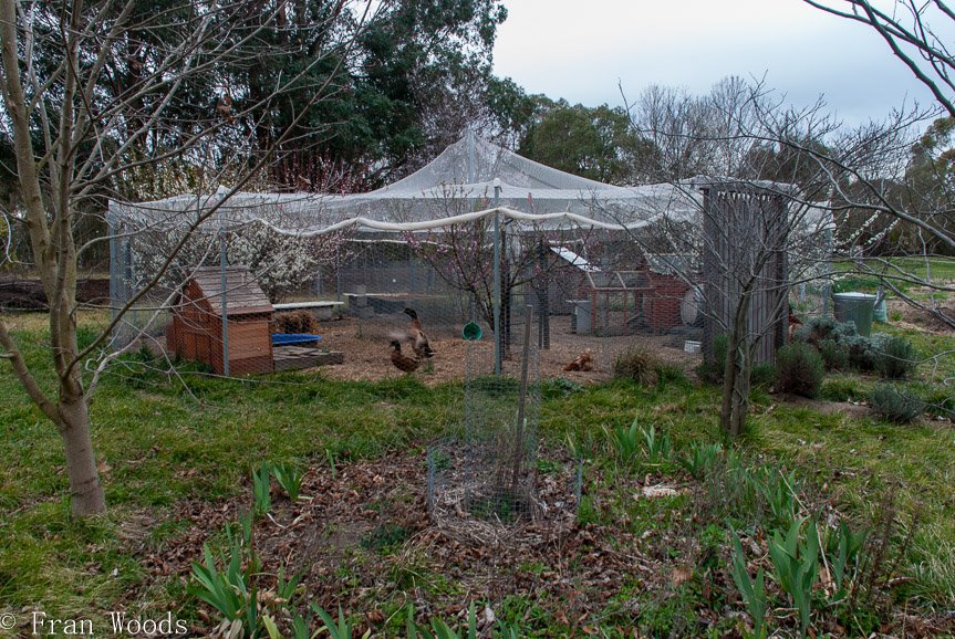 <b>Piccolo garden, Bungendore</b>
