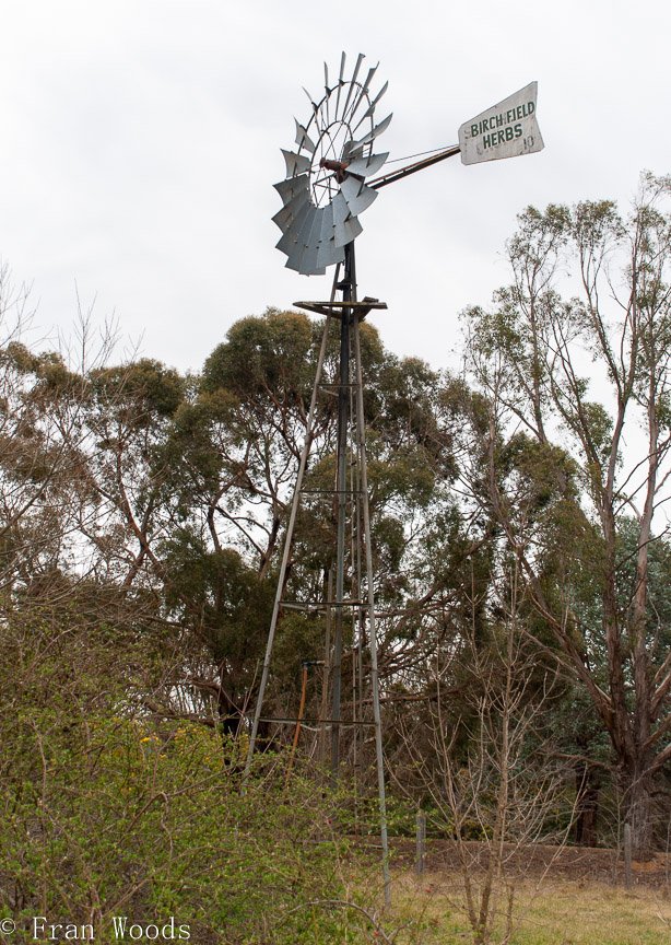 <b>Piccolo garden, Bungendore</b>