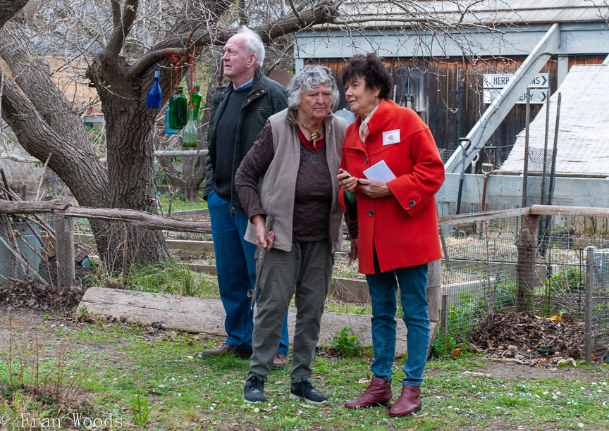 <b>Piccolo garden, Bungendore</b>