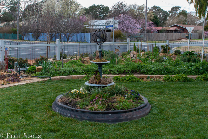 <b>Anthea Thomson garden, Bungendore</b>