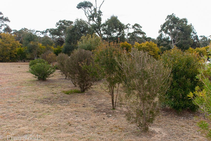 <b>Schuster garden, Warri</b>