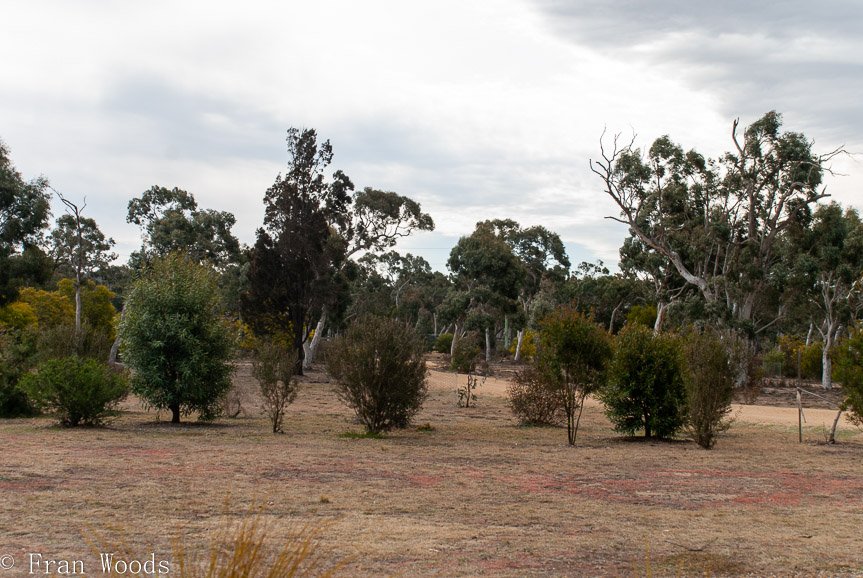 <b>Schuster garden, Warri</b>