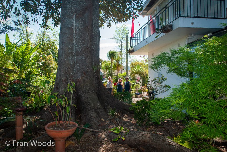 <b>Bel Air garden (#6)</b>