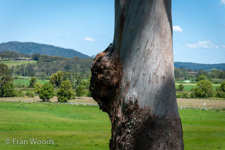 <b>Mananga Homestead (#3)</b>