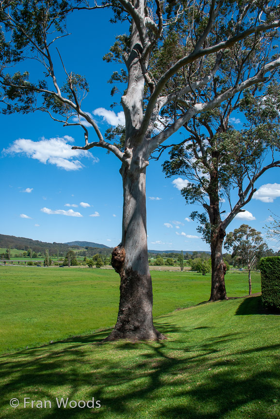 <b>Mananga Homestead (#3)</b>