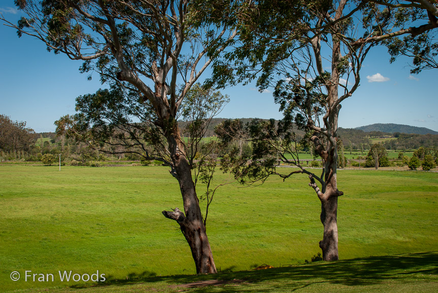 <b>Mananga Homestead (#3)</b>