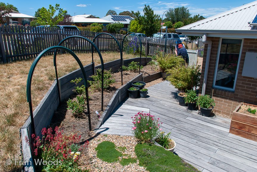<b>Dimmer garden</b>