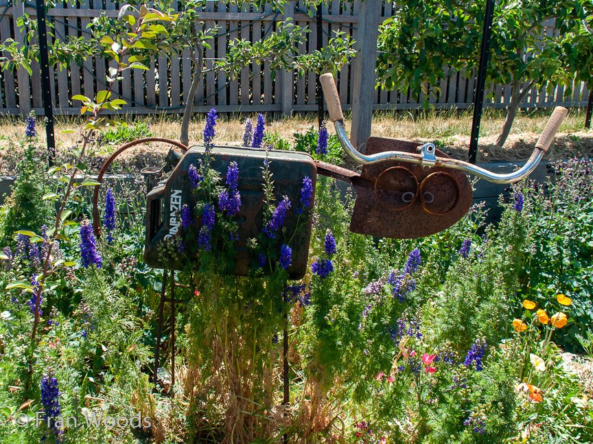 <b>Dimmer garden</b>