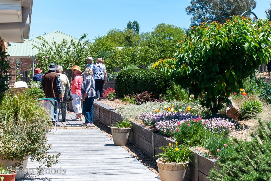 <b>Dimmer garden</b>