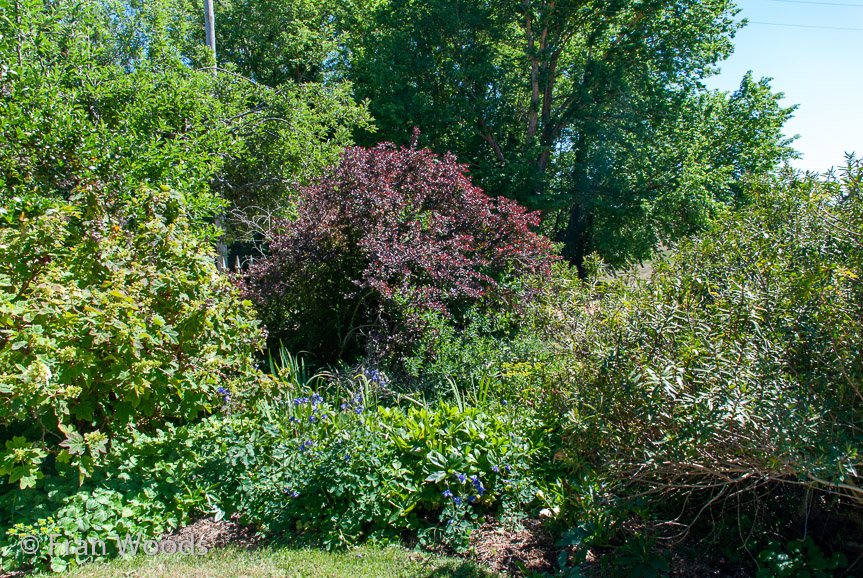 <b>Exeter Farm</b>