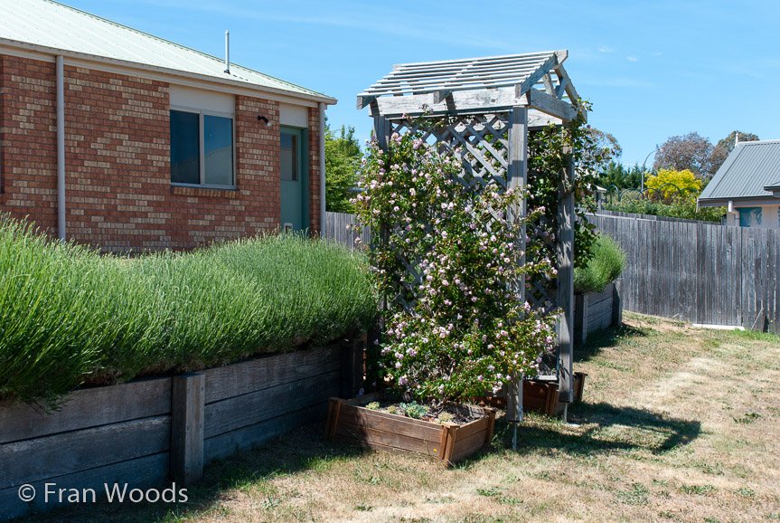 <b>Moore Garden</b>