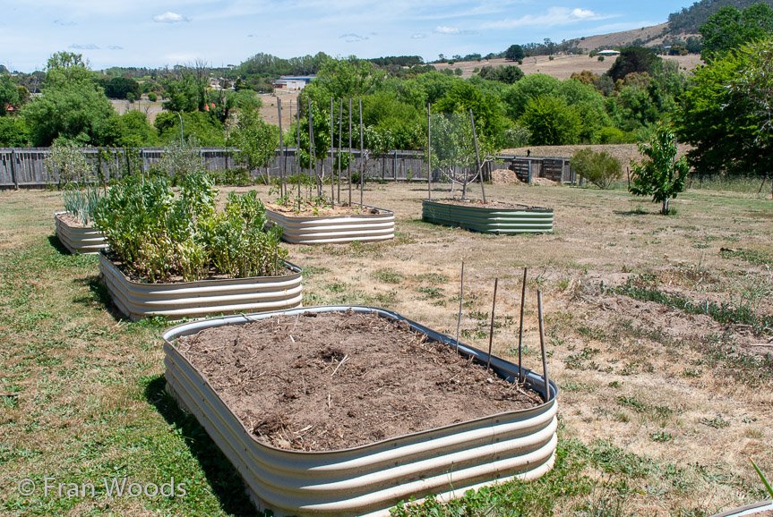 <b>Moore Garden</b>