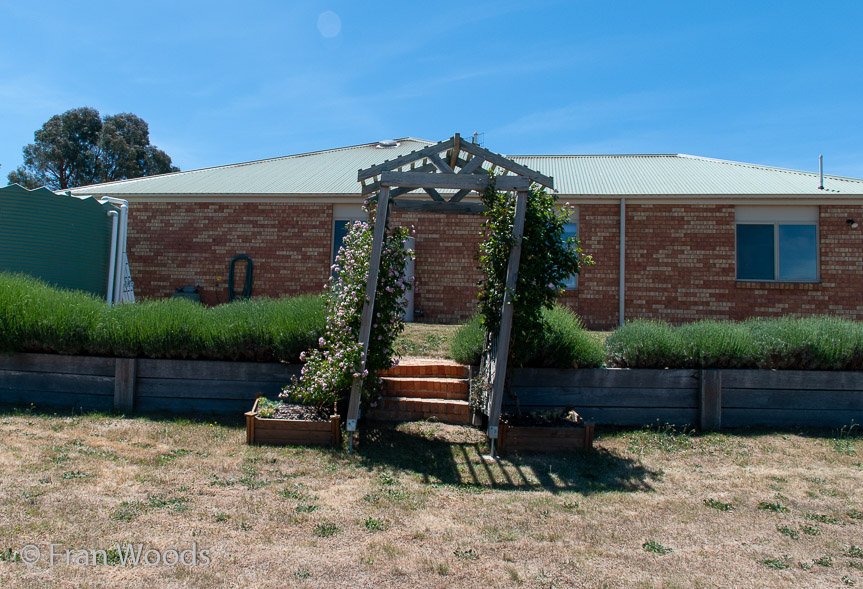 <b>Moore Garden</b>