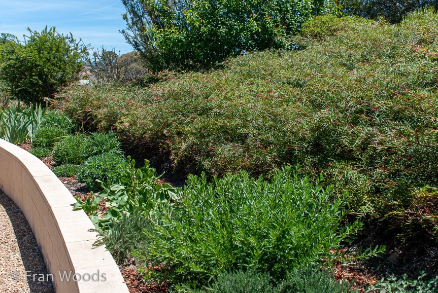 <b>Moore Garden</b>