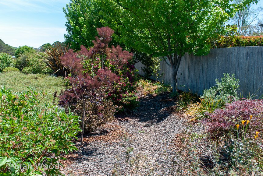 <b>Moore Garden</b>