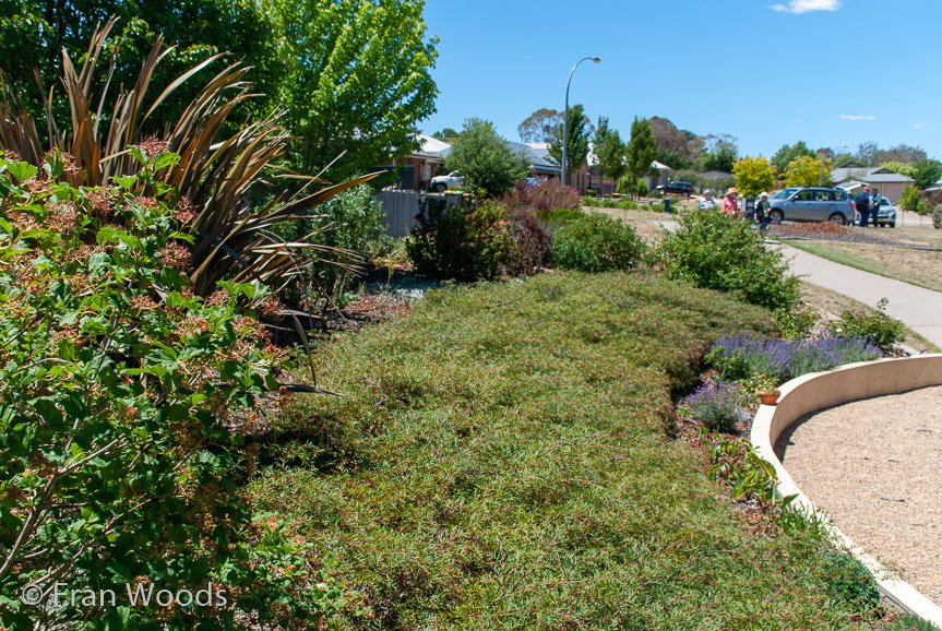 <b>Moore Garden</b>