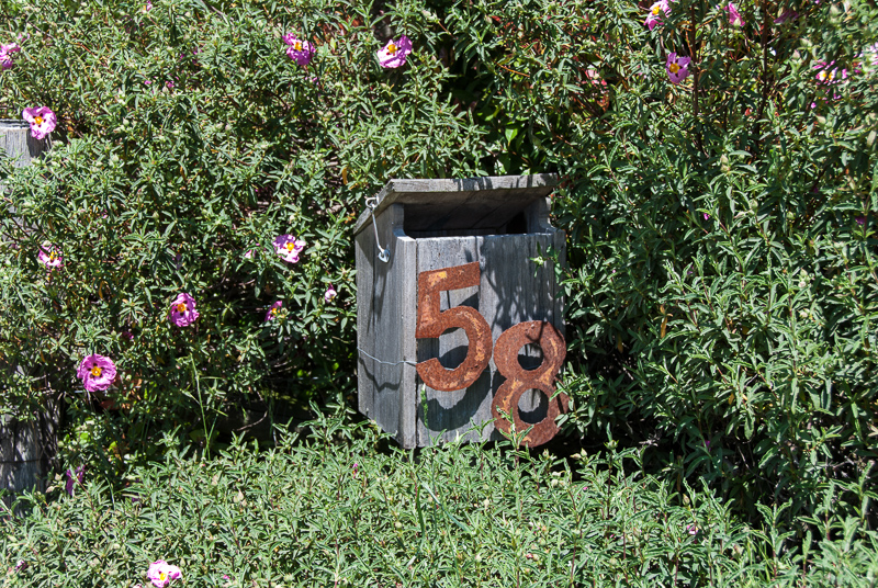 Bev Lightfoot's garden in Braidwood.