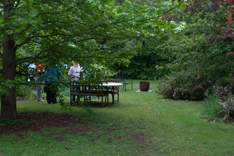 Lisa Harrex's garden in Braidwood.