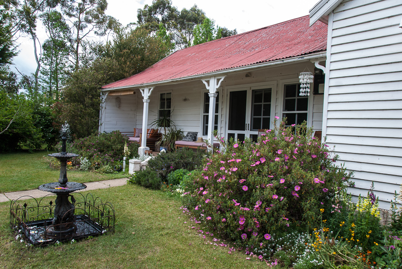 Lisa Harrex's garden in Braidwood.