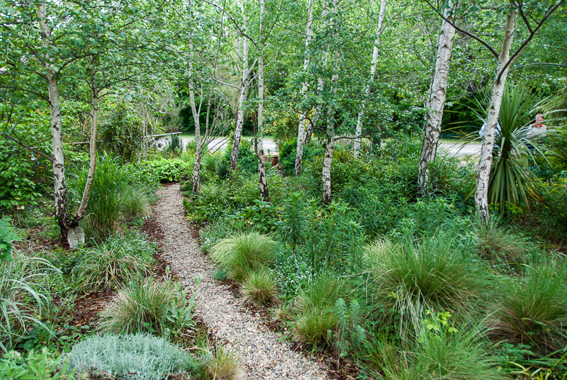 Cathy Peak's garden in Braidwood.