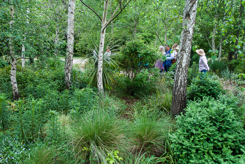 Cathy Peak's garden in Braidwood.