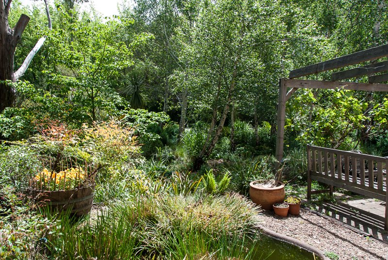 Cathy Peak's garden in Braidwood.