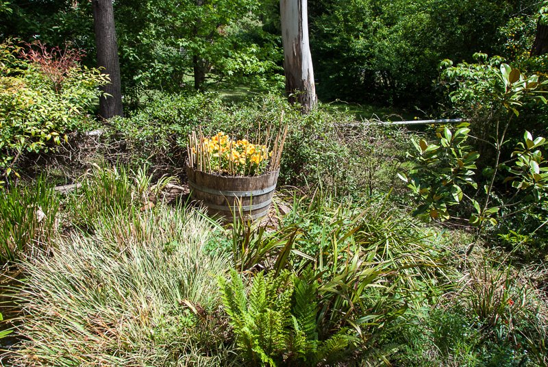 Cathy Peak's garden in Braidwood.