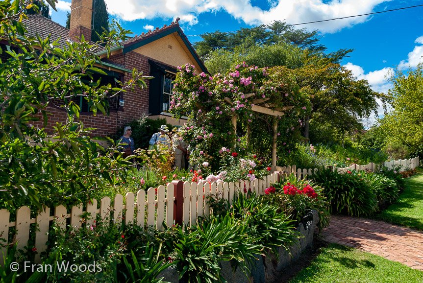 <b>Reidy garden, Yass</b>