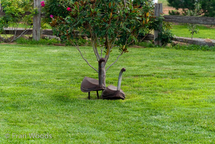 <b>Turner's garden, Lachlan Valley Way</b>