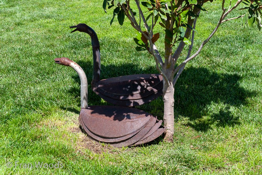 <b>Turner's garden, Lachlan Valley Way</b>