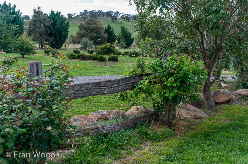 <b>Turner's garden, Lachlan Valley Way</b>