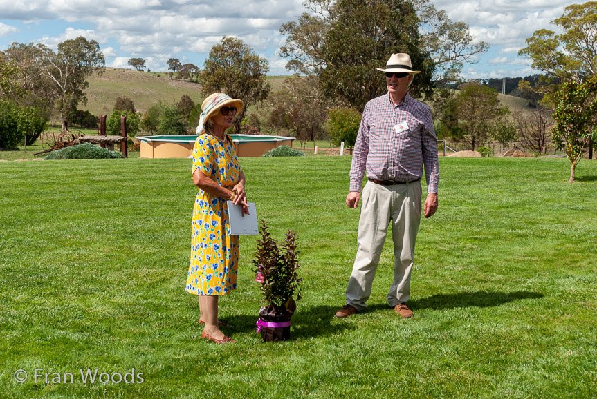 <b>Turner's garden, Lachlan Valley Way</b>