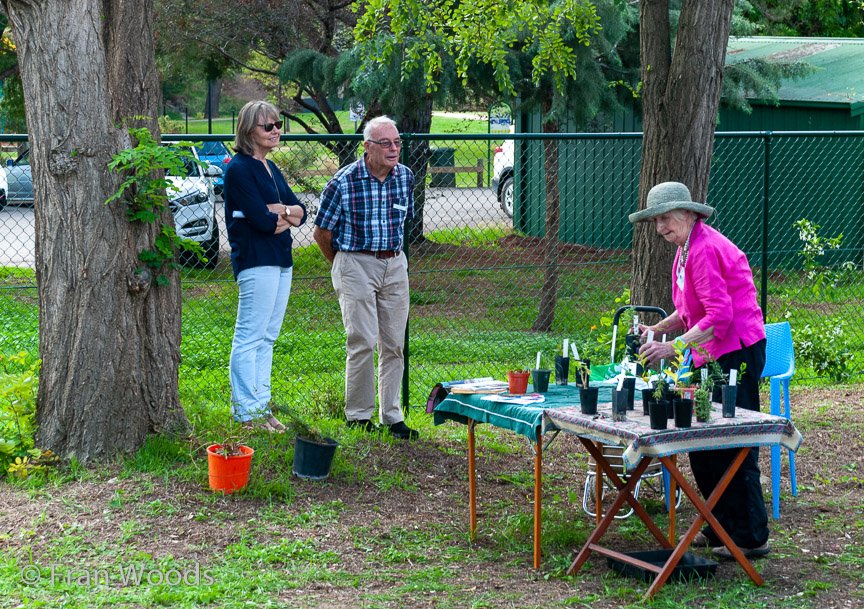 <b>Hagan's garden, Yass</b>