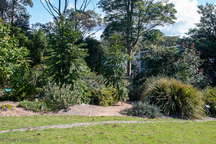 <b>Shoalhaven Botanic Gardens</b>