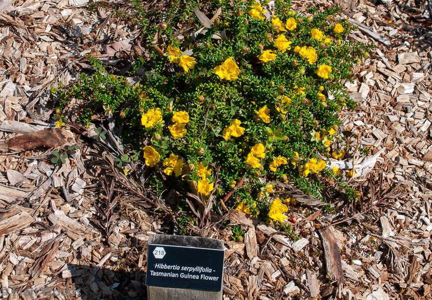 <b>Shoalhaven Botanic Gardens</b>