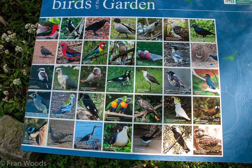 <b>Shoalhaven Botanic Gardens</b>