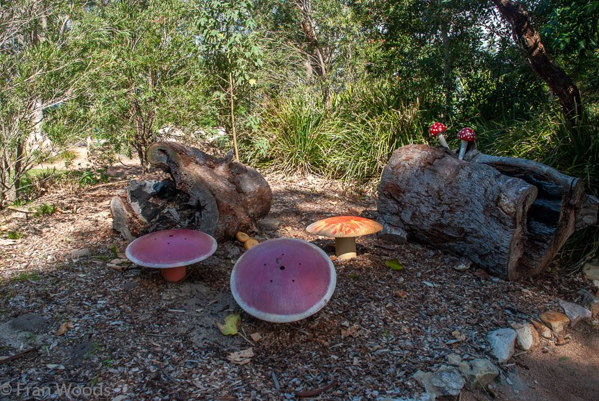 <b>Shoalhaven Botanic Gardens</b>