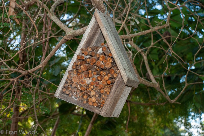 <b>Shoalhaven Botanic Gardens</b>